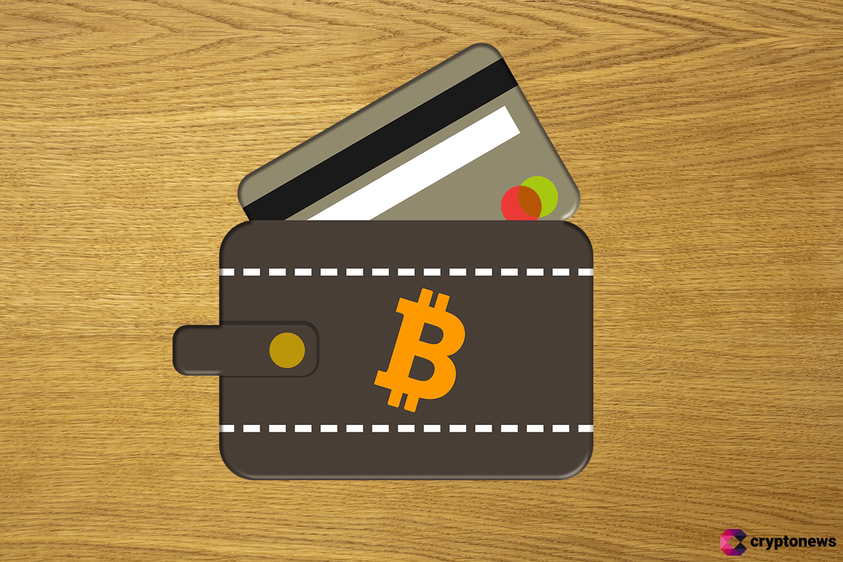 ¿Cómo elegir una billetera Bitcoin?